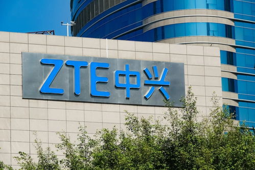 會(huì)員動(dòng)態(tài) 會(huì)員服務(wù) 中國(guó)電子商會(huì)